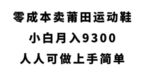 （第3523期）零成本卖莆田运动鞋，小白月入9300，人人可做上手简单